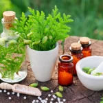 Homéopathie : Traitements Naturels pour le Sommeil et le Stress