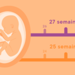 Comment trouver le nombre de semaines de grossesse à partir de la DDR ?