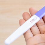  Quand faire un test de grossesse urinaire ou sanguin ?