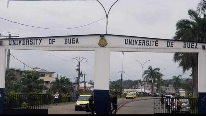 Publication des Résultats du Recrutement de 305 Techniciens à l'ENSTP de Buea - Année 2024 2025