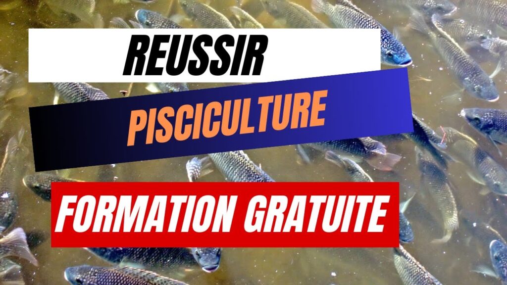 Formation Gratuite en Pisciculture : Découvrez la Pisciculture Hors Sol, Une Solution Innovante et Rentable