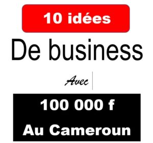 Quel Business Lancer avec 100 000 Francs CFA au Cameroun ? 2 Quel Business Lancer avec 100 000 Francs CFA au Cameroun ?