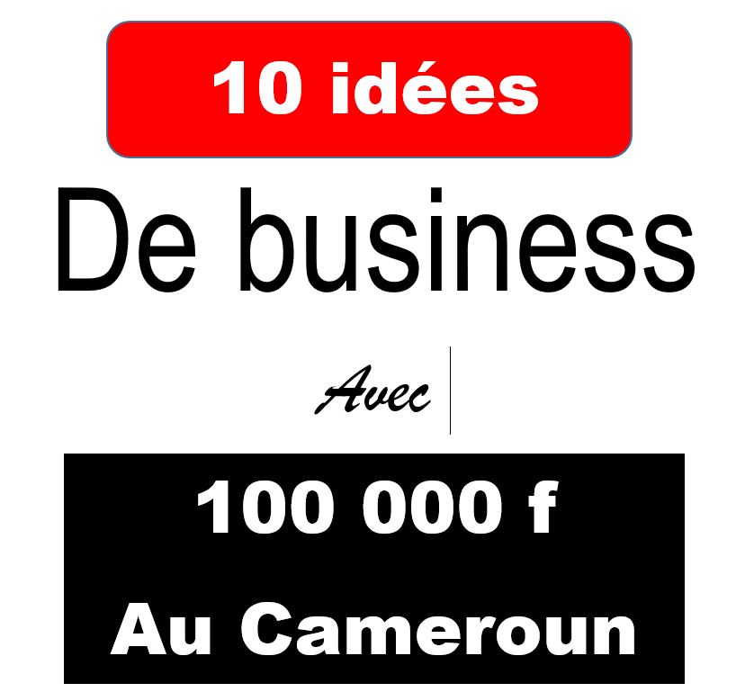 Quel Business Lancer avec 100 000 Francs CFA au Cameroun ?