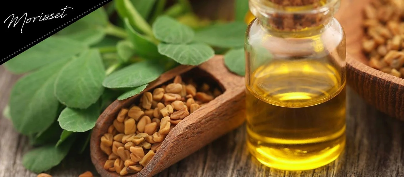 Les bienfaits de l'huile de fenugrec