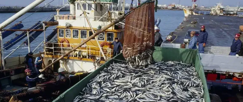 Parlement: Une Nouvelle Loi pour Sauver la Pêche Camerounaise