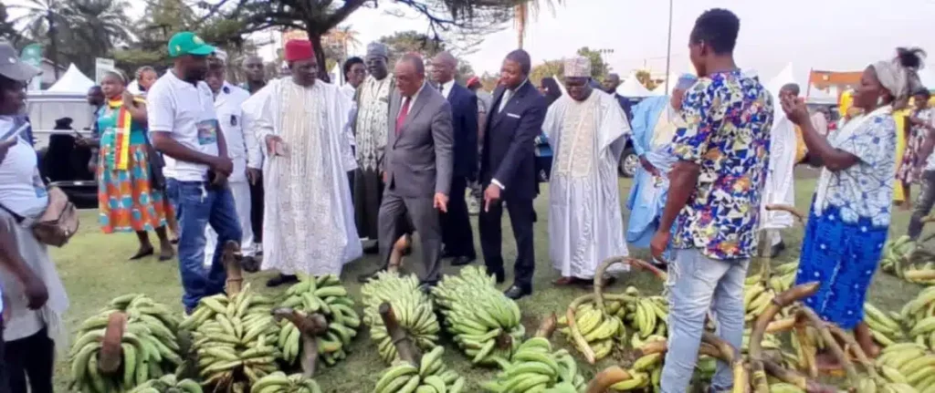 Douala lance la 3e édition du Festival International de la Banane-Plantain 2024