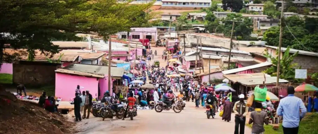 Impôt sur le revenu : ce qu'il faut savoir sur les barèmes applicables au Cameroun