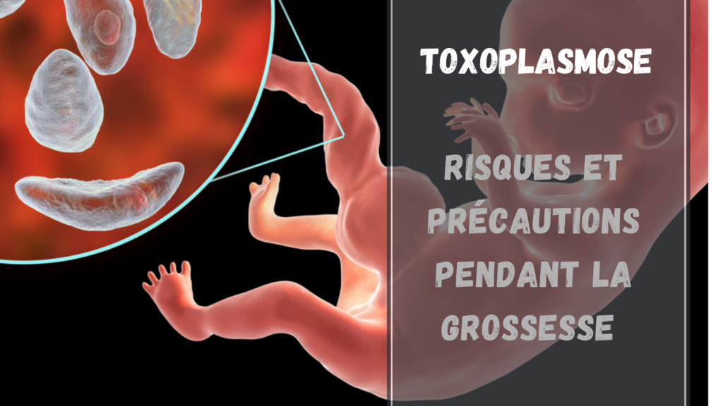 Quelles sont les conséquences de la toxoplasmose sur le fœtus ?
