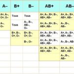 Groupe sanguin et grossesse : Pourquoi est-ce important de connaître son groupe sanguin avant de concevoir ?