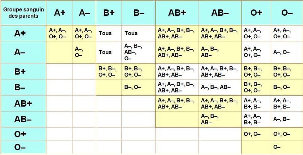 Groupe sanguin et grossesse : Pourquoi est-ce important de connaître son groupe sanguin avant de concevoir ?