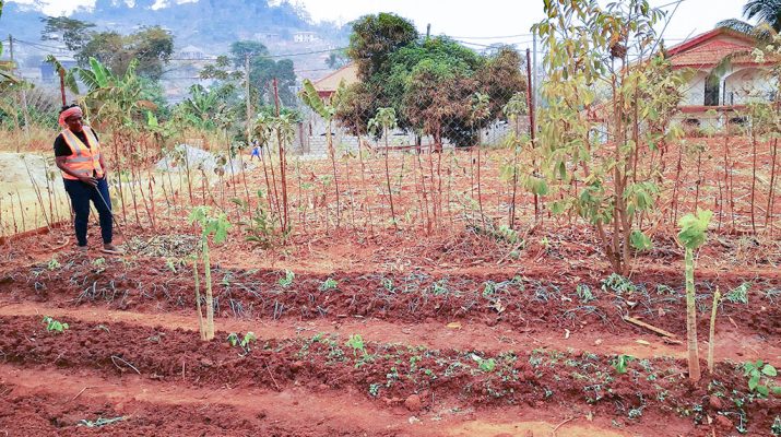 Entrepreneuriat en agroécologie : L'exemple inspirant de Nathalie Ladem