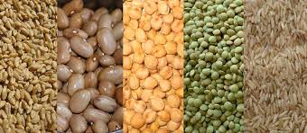  Jinsi ya kuhifadhi mboga baada ya kuvuna