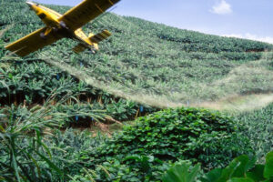 PHP Cameroun recrute:  3 Télépilotes Drone H/F