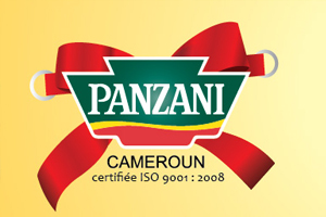 Offre d’Emploi : Electrotechnicien – PANZANI Cameroun (Douala)