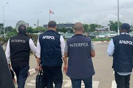 INTERPOL is Hiring: Help Combat Wildlife Crime in Africa