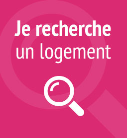 Besoin d'un studio moderne à louer avec forage