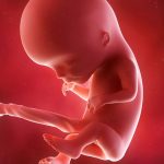 Comment organiser ses journées et ses siestes pour mieux gérer la fatigue au 8e mois de grossesse